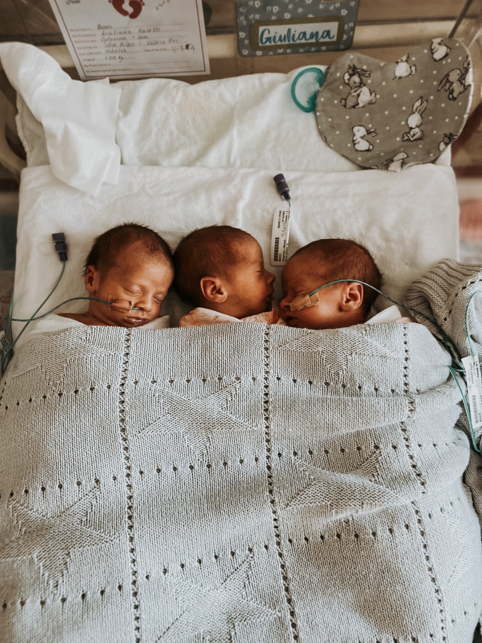 newborn triplets