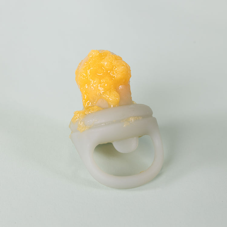 Fresh Food Feeder (2 Pack)