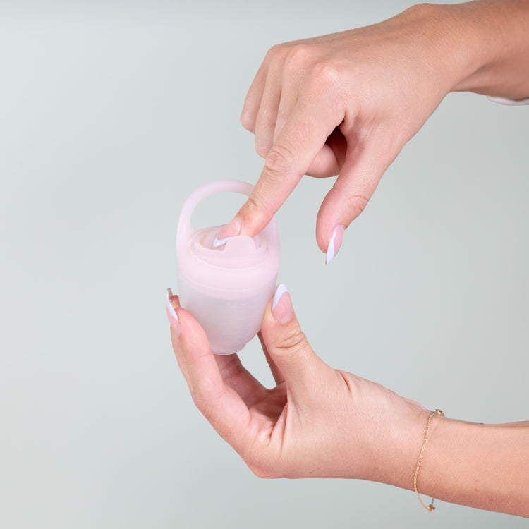 Fresh Food Feeder (2 Pack)