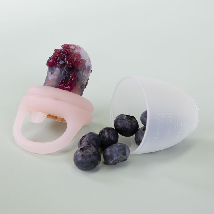 Fresh Food Feeder (2 Pack)