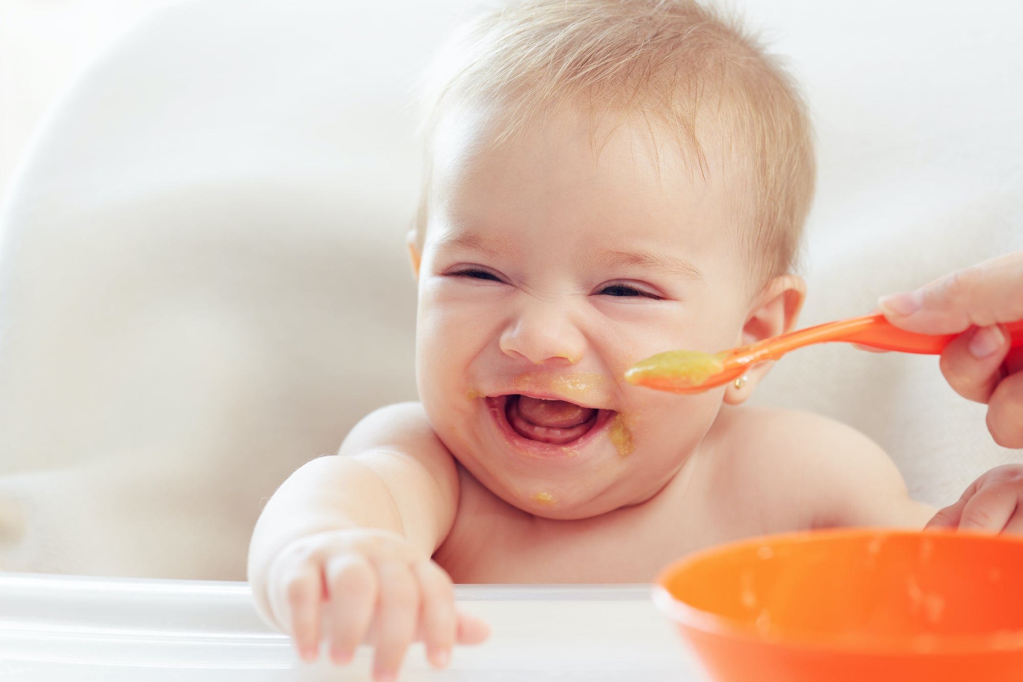 Introducing Solids 101 (Part One of Two)